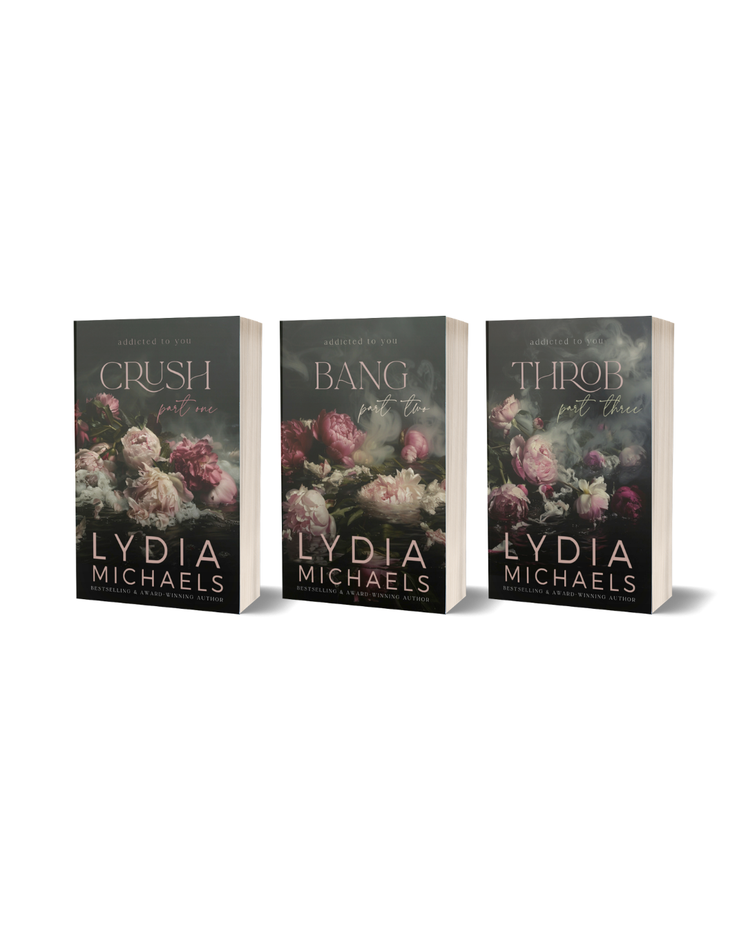 Addicted to You Bundle