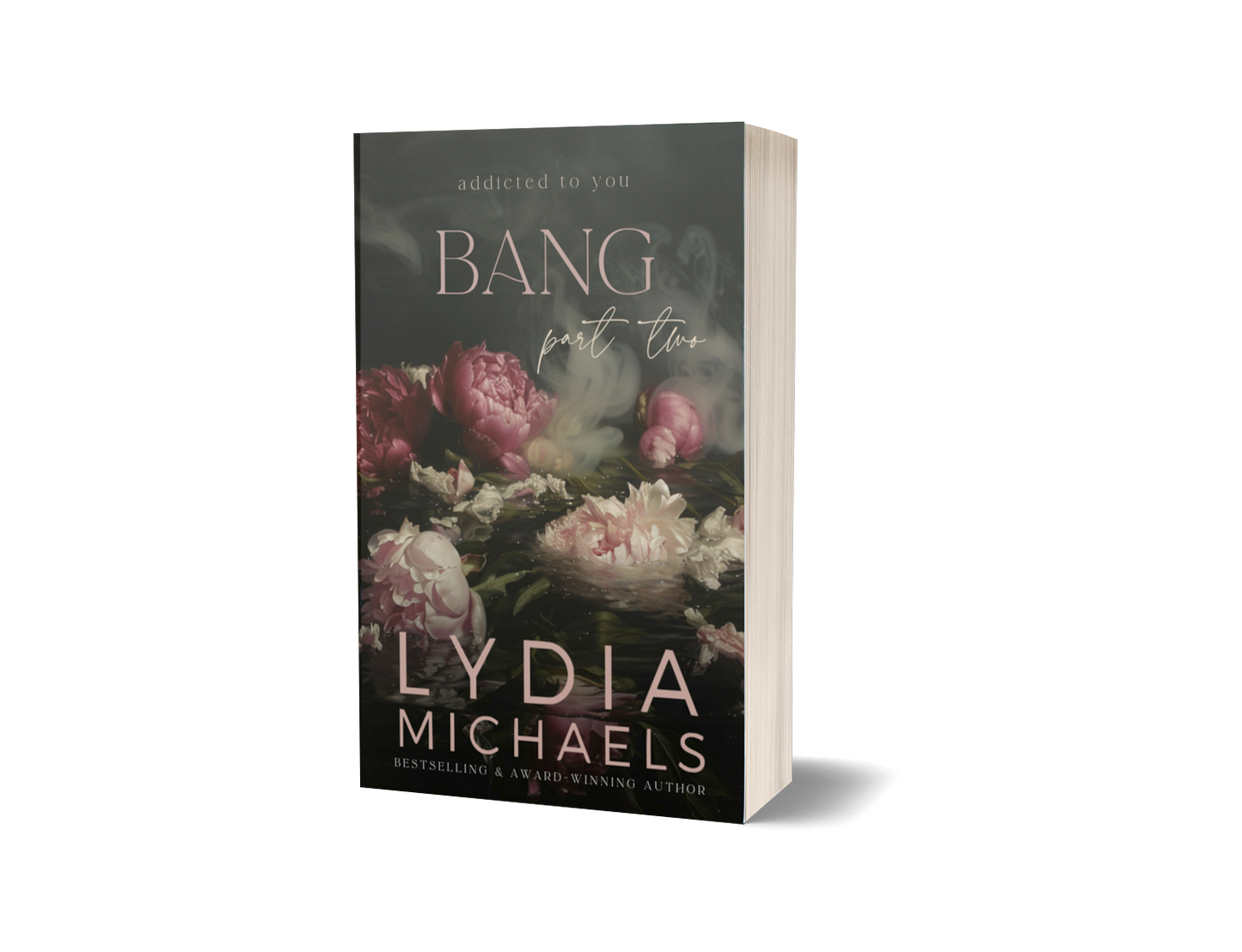 CLEARANCE - Bang (PRINTER LEFT GLUE ON COVER) (Condition: Good)